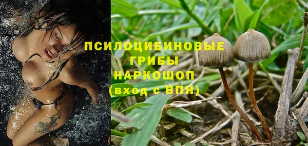гашиш Аркадак