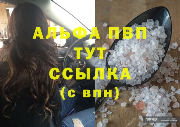 гашик Арсеньев