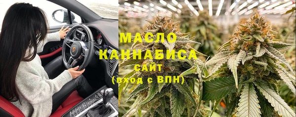 гашик Арсеньев