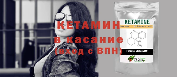гашик Арсеньев