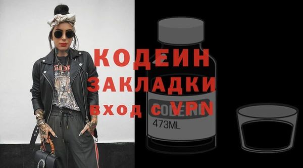 гашик Арсеньев